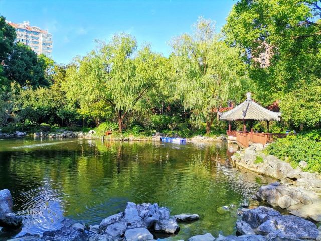 漕溪公园旅行图片 1