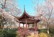 赣州城市中央公园景点图片
