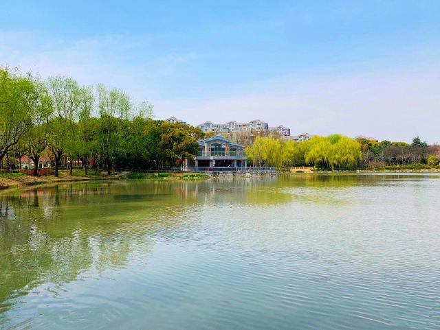 金桥公园旅行图片 1