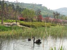 牛首山旅游景区-青铜峡-资深喵