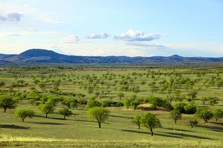 云慢疏林大草原生态观光区两日游记，带你一起感受草原秘境