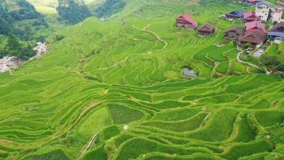田頭苗寨景區