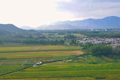 密云区游记图片] 两天一晚京郊密云小众亲子游，拥抱自然回归田园