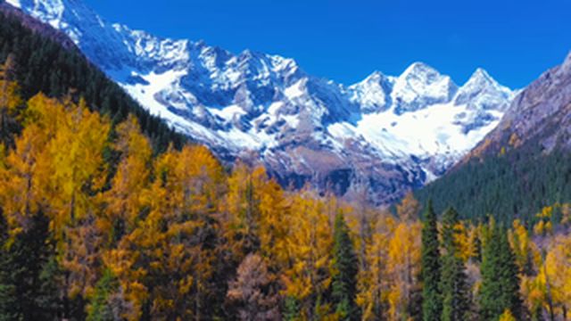 达古冰川“盖被子”一年，减缓冰川消融厚度达到1.5米！