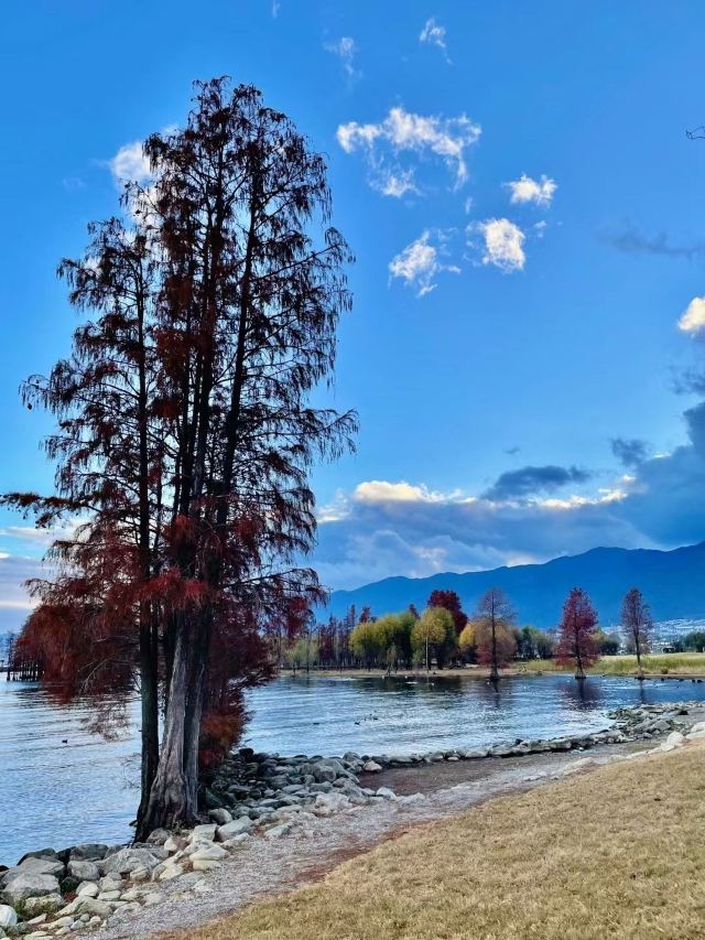 洱海月湿地公园旅行图片 3