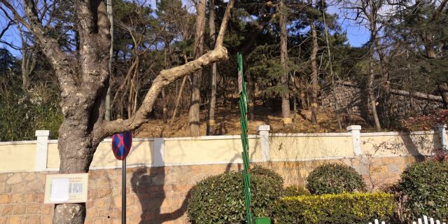 老舍故居旅行图片 5