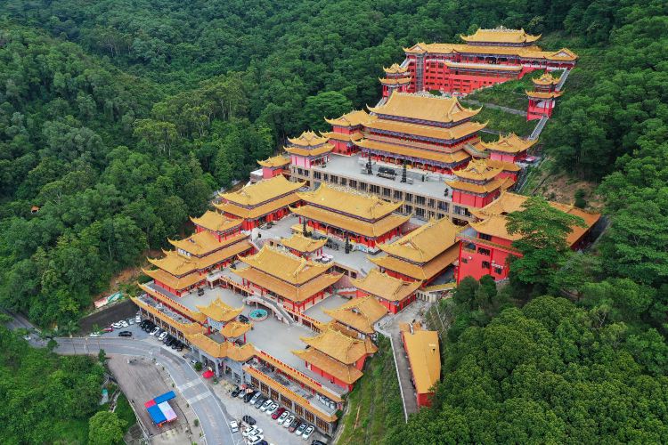 大岭山森林公园