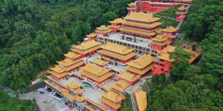 大嶺山森林公園