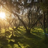 阿伯德尔国家公园图片