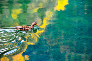 九寨天堂里的神仙酒店，逛景点泡酒店yyds