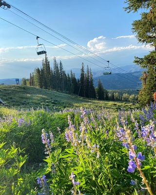 夏日餐饮 | 在美国阿斯本的最佳美食季节打开味蕾新大陆