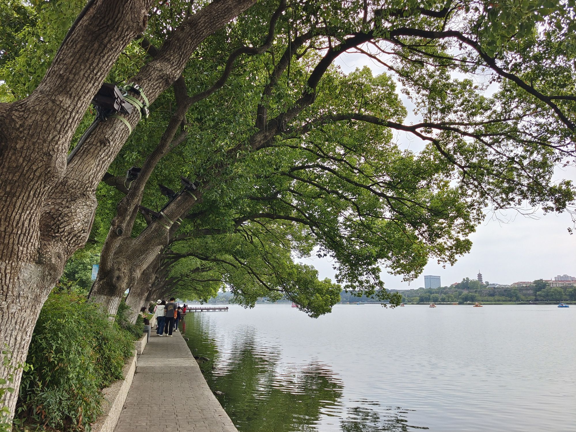 Nanjing Xuanwu Lake Scenic Area