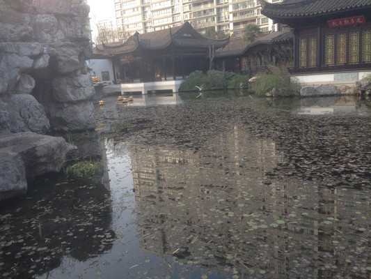 巨赞法师，辉煌的一生
