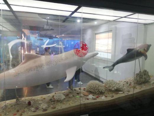 深圳蛇口海洋科普馆