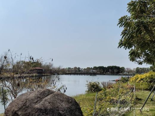 霞东公园