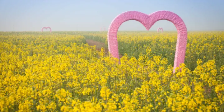 陳橋濕地風景區