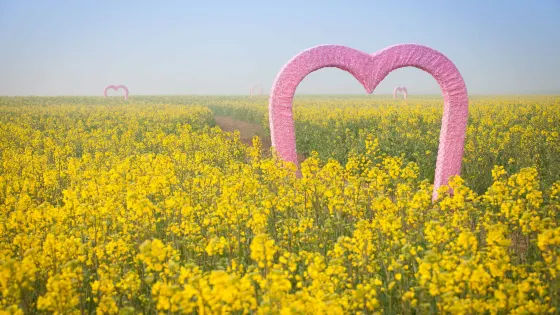 陳橋濕地風景區