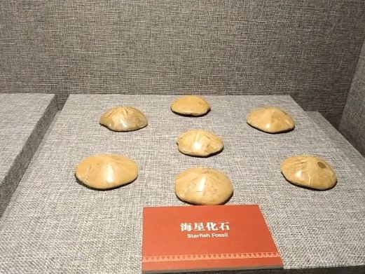 红河州博物馆