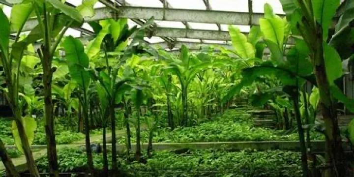 天峽世界鱘魚博覽園