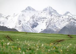 travel picture