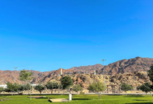 阿拉法特山景点图片