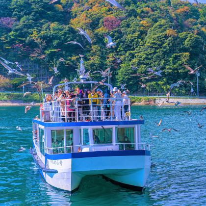 日本大阪+京都+奈良市+伊根町+伊根湾观光船游览+奈良公园+伏见稻荷大社+天桥立+大阪城公园+鸭川8日7晚拼小团