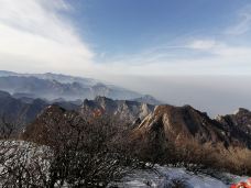 西峰-华阴-藏香猪吉祥物