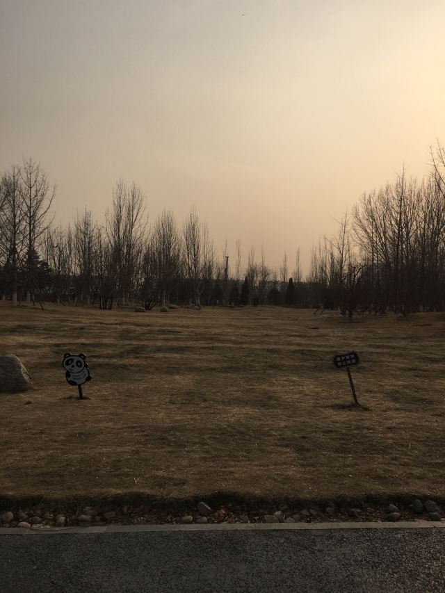 回龙观生态休闲公园旅行图片 4