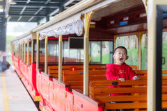 南昌游记图片] 神拍奶爸｜花开梅岭竞争艳，研学湾里嗨翻天