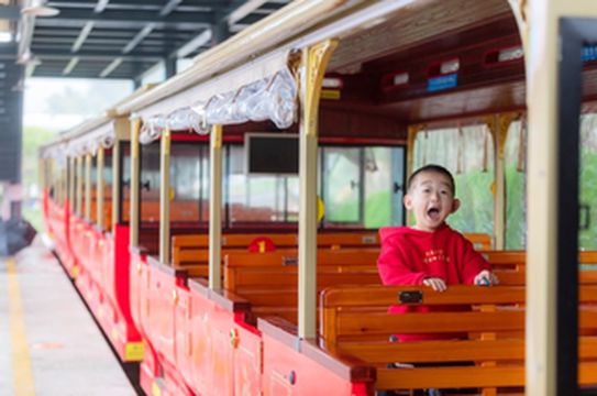 神拍奶爸｜花开梅岭竞争艳，研学湾里嗨翻天