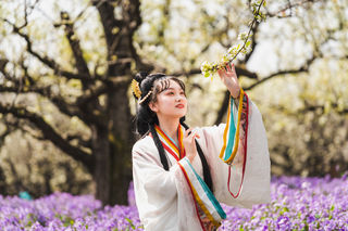 梨兰相会三月天，赴宿迁邂逅一场极致春光