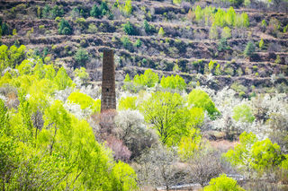 这里比甲居藏寨隐蔽，百年梨花开满山，仿若世外桃源