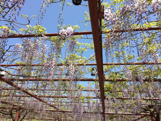 骑行漫记4-之嘉定行