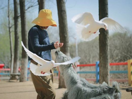 藏马山国际旅游度假区