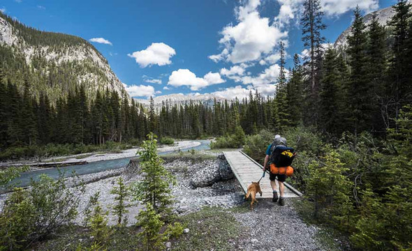 加拿大落基山里的小众露营地