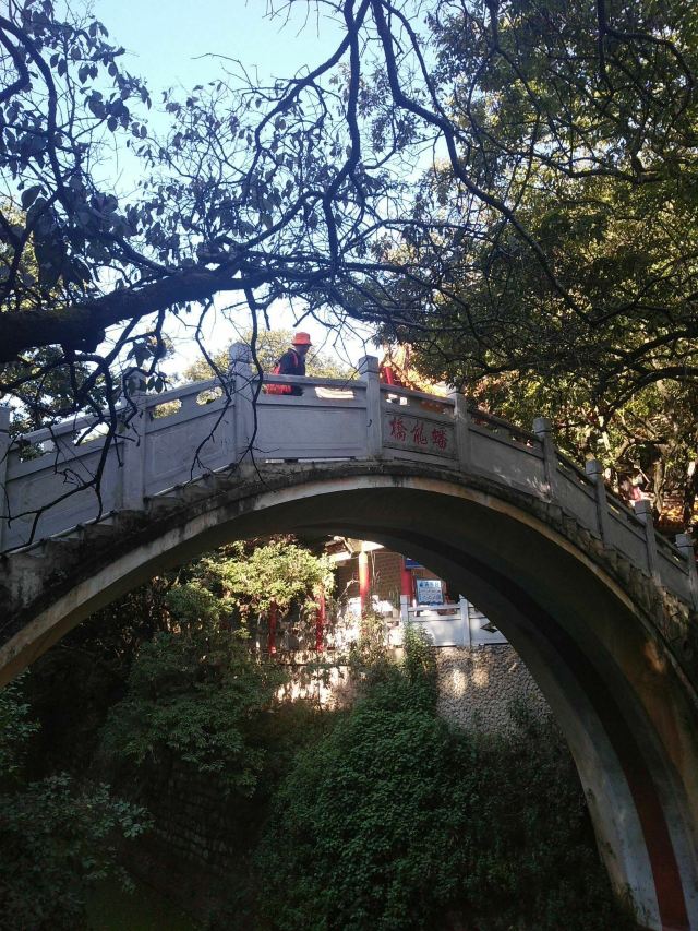 界鱼石公园旅行图片 3