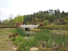 牛首山旅游景区-青铜峡-资深喵