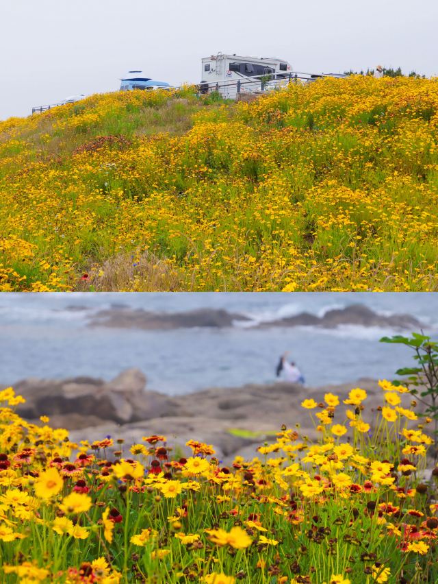 青岛连三岛游玩攻略简介,青岛连三岛门票/地址/图片/开放时间/照片/门票价格【携程攻略】