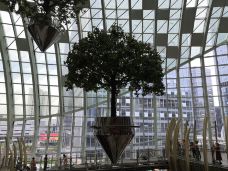 重庆光环购物公园室内植物园“沐光森林”-重庆-风之痕123123
