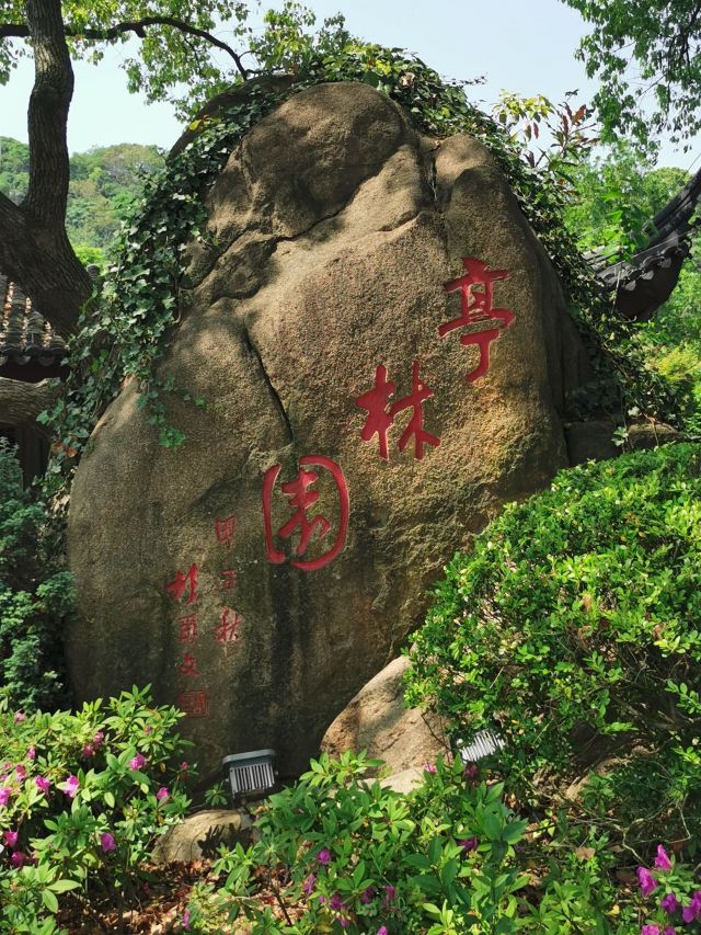上海亭林遗址公园旅行图片 1
