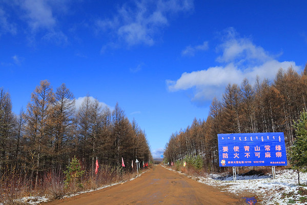 北上日记（八）风雪兴安岭