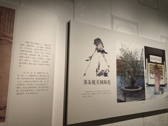 宜兴游记图片] 宜博，出乎意料的县级博物馆（3）