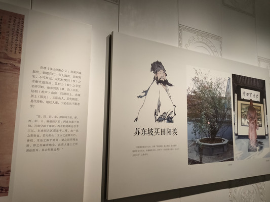 宜博，出乎意料的县级博物馆（3）