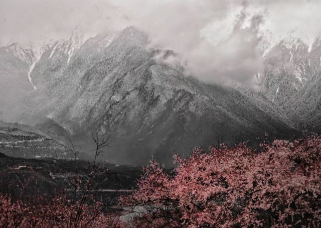 嘎拉桃花源旅行图片 6