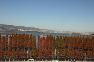 初见远山的梯田