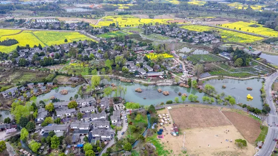 香草湖濕地公園