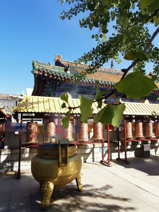 皇寺广场旅行图片 1