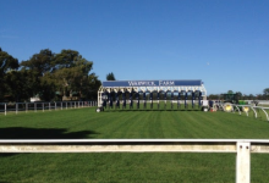 沃里克农场赛马场景点图片