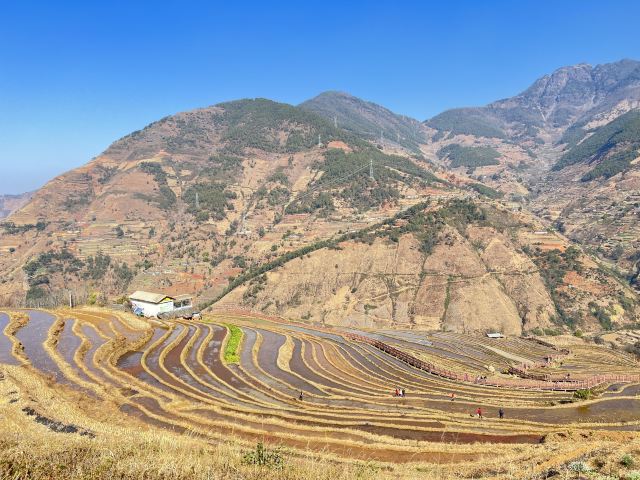 新山梯田旅行图片 2