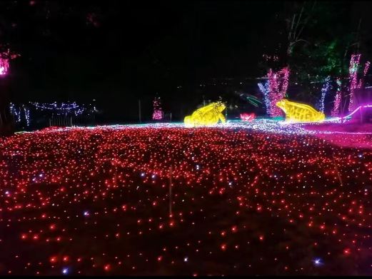 南亚欢乐田园